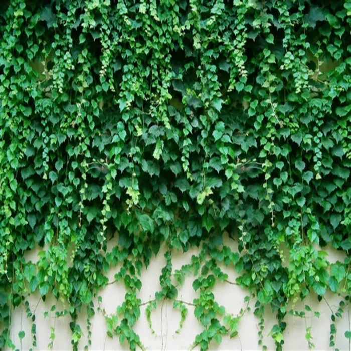 Custom Photo Wallpaper 3D Green Plant Leaf Mural Hotel Living Room TV Sofa Backdrop Wall Home Decor Backdrop Papel De Parede - Image 4