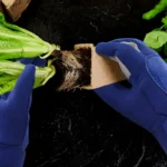 1 Pair Gardening Gloves Rose Pruning Thorn Proof Gloves With Long Forearm Protection Gauntlets For Digging Planting Garden Tools - Image 4