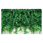 Custom Photo Wallpaper 3D Green Plant Leaf Mural Hotel Living Room TV Sofa Backdrop Wall Home Decor Backdrop Papel De Parede - Image 3