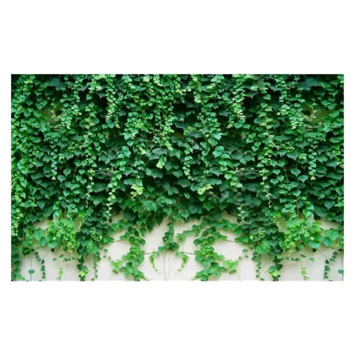Custom Photo Wallpaper 3D Green Plant Leaf Mural Hotel Living Room TV Sofa Backdrop Wall Home Decor Backdrop Papel De Parede - Image 3